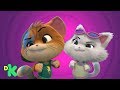 Feline Adventures and Challenges