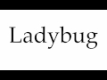 Ladybug Behavior and Ecosystem Role