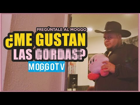 Pregúntale al Moggo PT. #3