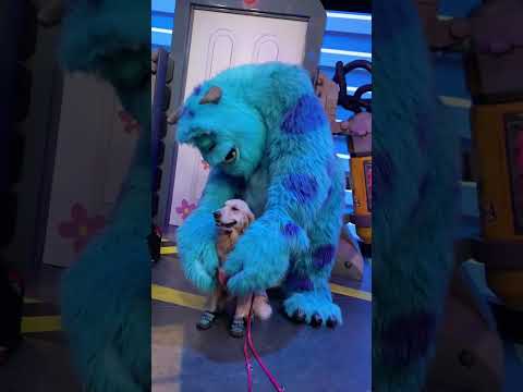 Dogs like these Disney friends💞🐶#dog #pet #fyp #foryou #animals #disney