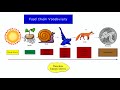 Ecosystem Roles and Energy Flow