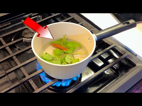 Remedio casero para bajar la panza