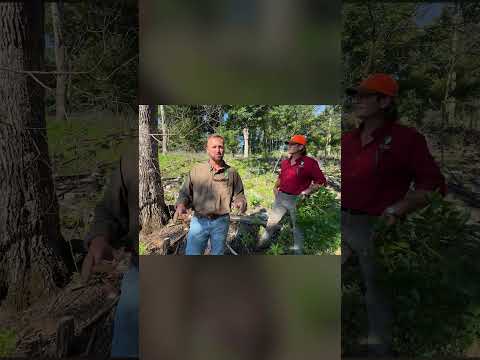 Crew spraying hardwood saplings and broadleaves weeds as the next step to improve habitat!