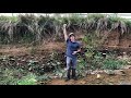 Stream Bank Erosion and Management