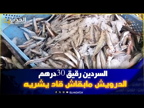 المحمدية: السردين رقيق 30درهم للكيلو ولانشوبا 20درهم درويـش غير كيشوف الحوت بعينيه