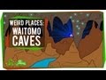 Bioluminescence and the Waitomo Caves