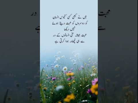 #quotes #poetry #motivation #aqwalezareen #4line #love #shorts