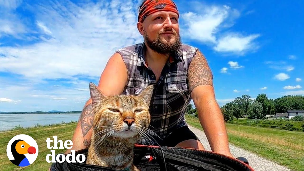 Guy Finds A Stray Kitten, Bikes Around The World With Her For Two Years Soulmates