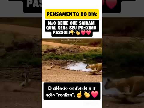 Não deixe que saibam qual será o seu próximo passo #shortsviral #youtube #shortvideos #motivar