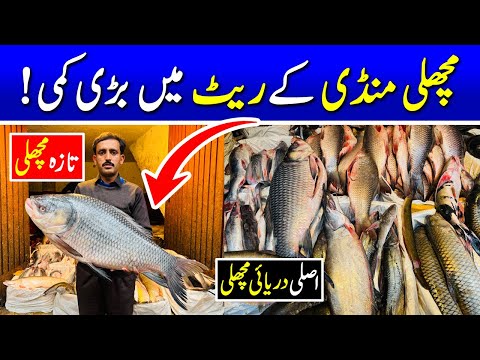 Big drop in the rates of fish market in Pakistan | Fish wholesale market Lahore | Fish market rates