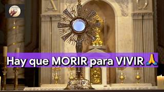 Oración de RENOVACIÓN con DIOS en el Santísimo en la Parábola del Trigo | Alimento de Fe