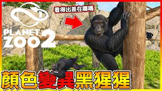 顏色變異的黑猩猩來了！看得出來差在哪裡嗎😂養了之後園區直接吵鬧起來啦【動物園之星2 Planet Zoo2】#05