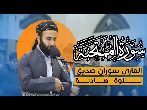 سورة الممتحنة surah al mumtahinah القارئ سوران صديق soran sdiq القران الكريم