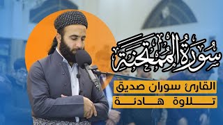 سورة الممتحنة surah al mumtahinah القارئ سوران صديق soran sdiq القران الكريم