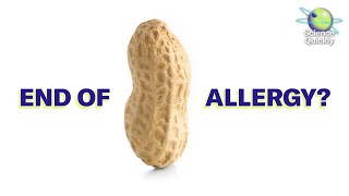 Could Peanut Allergies Be Cured?