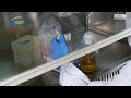 Pathogenic Bacteria Test Procedures