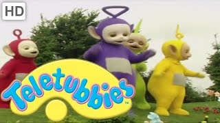 Teletubbies | هل رأيت الحملان؟ | عروض للأطفال