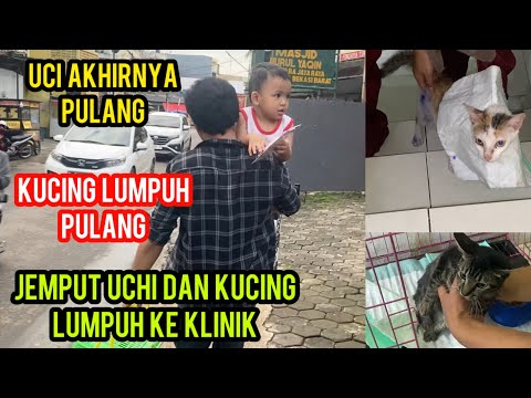 Menjemput Kucing Yang Di Gigit Anjing Di Klinik Sambil Gendong Anak ‼️