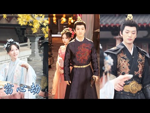 她是背負滅門血仇的俠盜女飛賊，他是朝中人人敬畏的冷麵錦衣衛，他們從針鋒相對到攜手合作，在閹黨橫行、暗流涌動的京城中，共同揭開十年前鹽稅案真相，最終以玉佩銀簪為鑰破除陰謀，洗雪沉冤還天下清白！