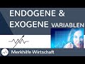 endogene-exogene-variablen/