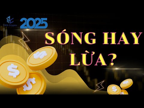 🚀 Altcoin mùa này có sóng không? Cơ hội nằm ở đâu?