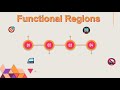 Understanding Regional Boundaries and Definitions
