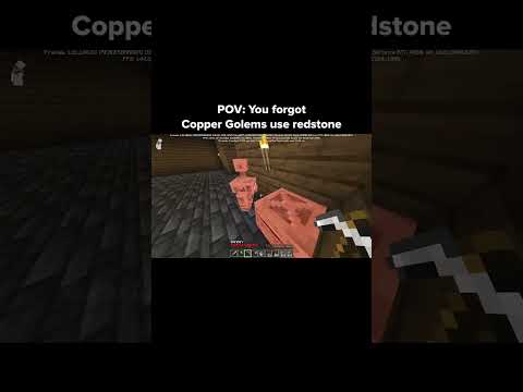 Minecraft Door Moment