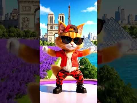 ️🥁️ Travel and dance with the funny cat 🐾🎶