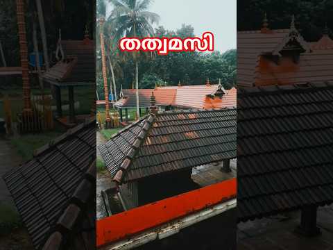 തത്വമസി 🙏 #shortsfeed #shortvideo #shorts #shortsviral #qatway #trending #subscribe #support