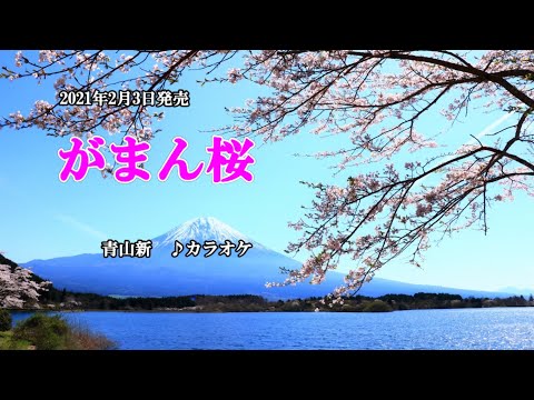 『がまん桜』青山新　カラオケ　2021年2月3日発売