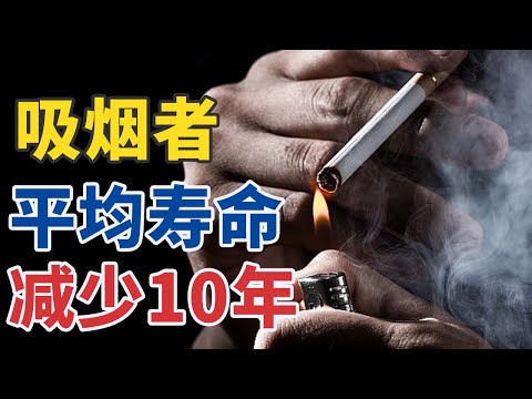 使平均寿命减少10年！你还在这样做吗？20241112 别让健康被烟毁（上）| CCTV科教《健康之路》