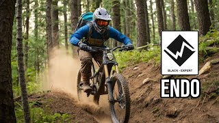 Riding the ENDO Downhill Trail- Forest OF Dean