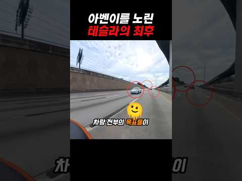 퇴근길 테슬라가 람보르기니 아벤이 도발