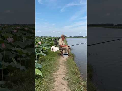 Good <strong>buddy</strong>! #funny #comedy #funnyvideo