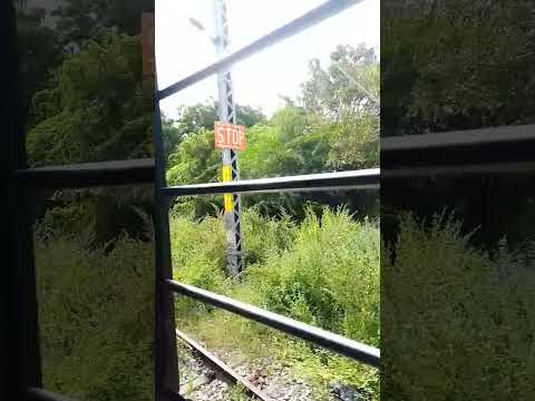 chal musafir #music #youtubeshorts #shortfeed