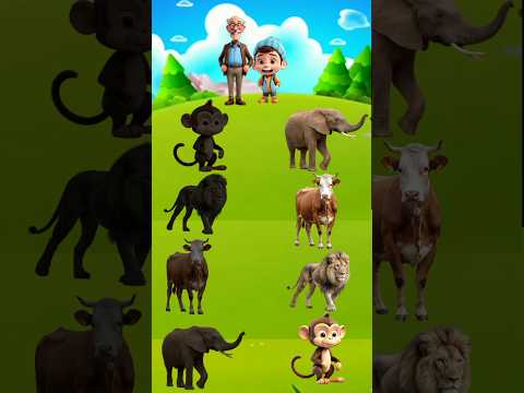 वद्दु ने गलत मिलाया❓🤯 tools items mimi wood skills viral gadgets #youtubeshorts