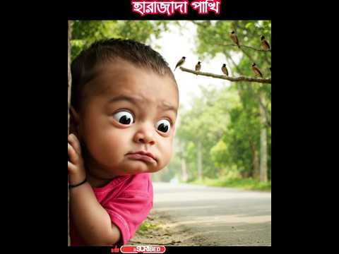 Viral baby engry for Bird #funny #tiktok #baby #viral #ytshorts #gaming #cute #shortvideos