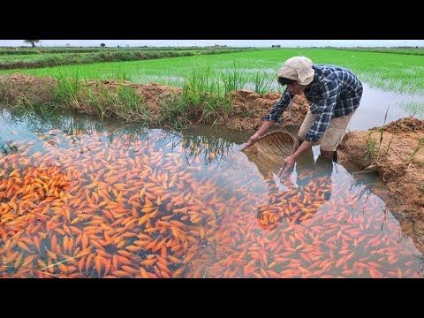 Exploring a Hidden Fish Farm! *RARE FIND*