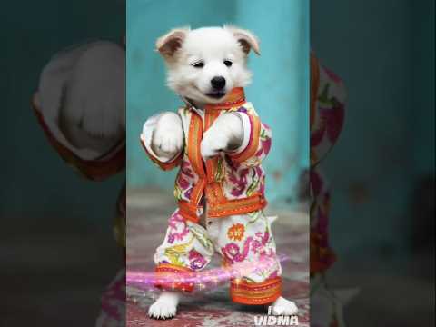 ikkudi Khand lag di #youtube #love #puppy #pup #viral #baby #dog #youtubeshorts #shortsfeed #shorts