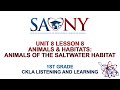 Exploring Saltwater Animals and Their Habitats