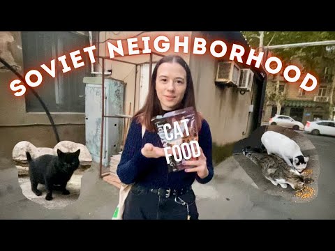I fed stray cats in Soviet neighborhoods 