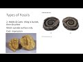 Fossilization and Fossil Types