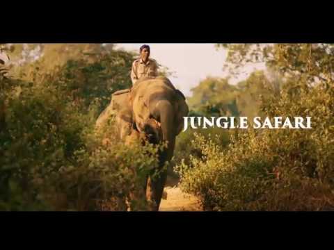 Similipal - India's Best Kept Secret