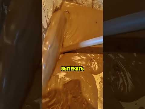 Он был в полном шоке от увиденного!
