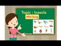 Insect Identification and Characteristics