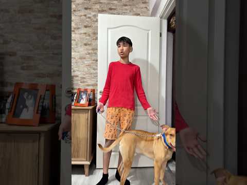 Onat Genç Kardeşi Karşıya Geçerken Araba Çarptı #shorts