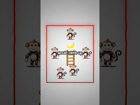 The Five Monkeys Hypothetical