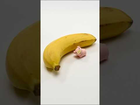 piggy🐷eating banana 🍌 🍌 (part_8)| New Viral Gadgets, Smart Appliances/ Home🤯😱#shorts#ytshorts