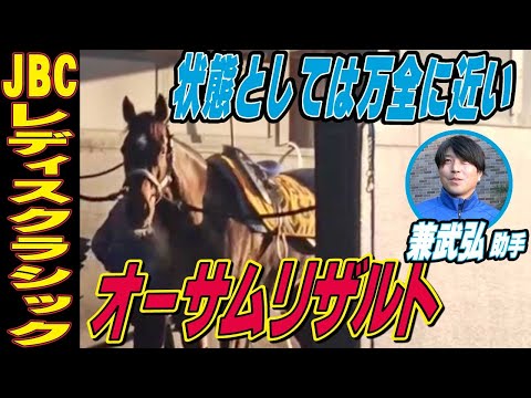 【JBCレディスクラシック2025】オーサムリザルト・兼武弘助手インタビュー「前回より数段状態は上げてきている」「状態としては万全に近い」《東スポ競馬》