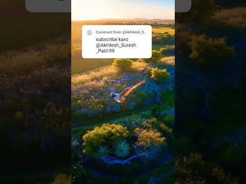 #nature #marathisong #song #music#spotify #movie #carsongs #musicremix #viralvideo #remixsong #viral